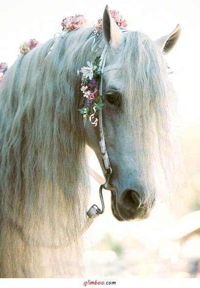 Наталия Прохода | Санкт-Петербург