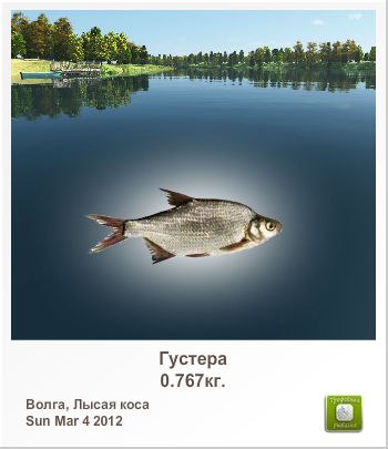 Ильшат Шакиров ***Син минеке - ... | Арск