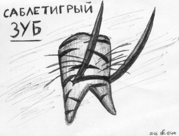 Артем Коваленко | Львов