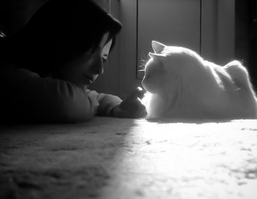 №3, Татьяна Рябоконова, Auckland №3, Татьяна Рябоконова, Auckland