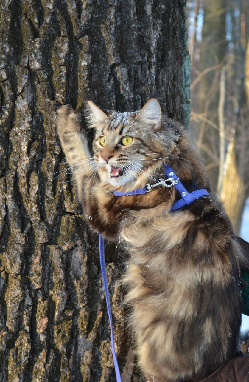 Irene Chernykh | Нижний Новгород