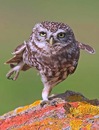 Фотография Клименко Марии