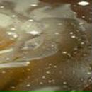 Анастасия Лунина | 