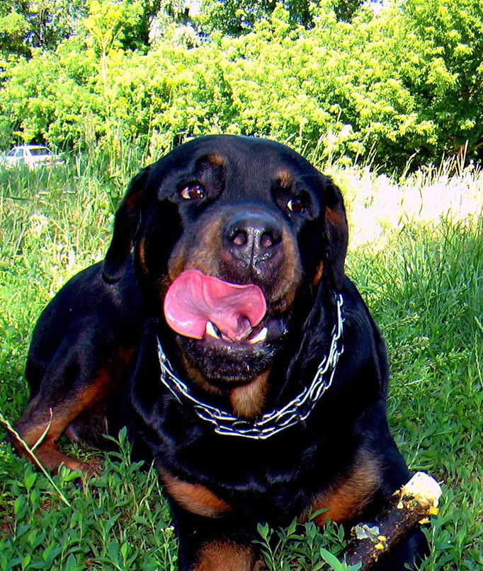 Юлия Ходарева | Сумы