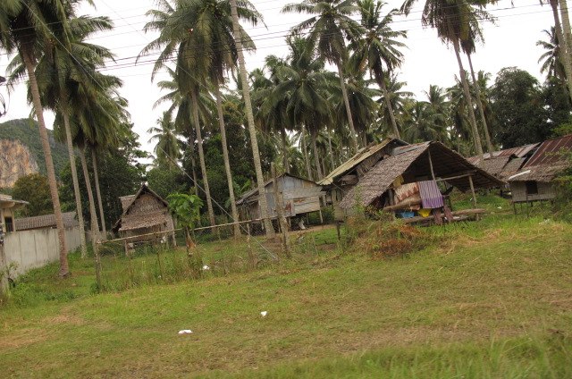 Елизавета Городничева Alice'sadveturesinwonderLand | Москва