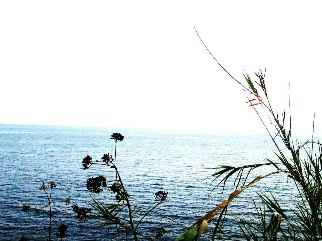 Регина Сагдеева | Новосибирск