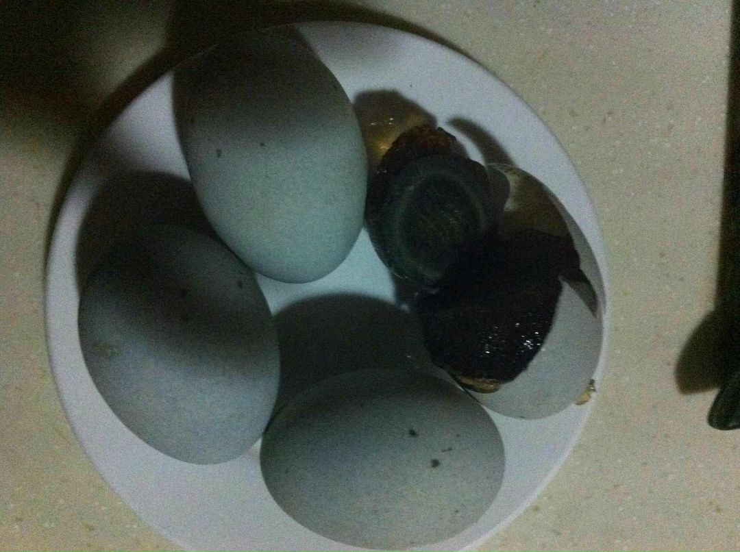 Анна Харченко | Киев