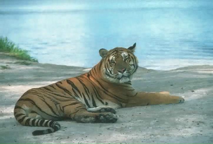 №10, Геннадій Шевела, 51 год, Знаменка №10, Геннадій Шевела, 51 год, Знаменка