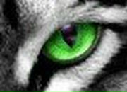 Sergei Ganshyn SV | Николаев