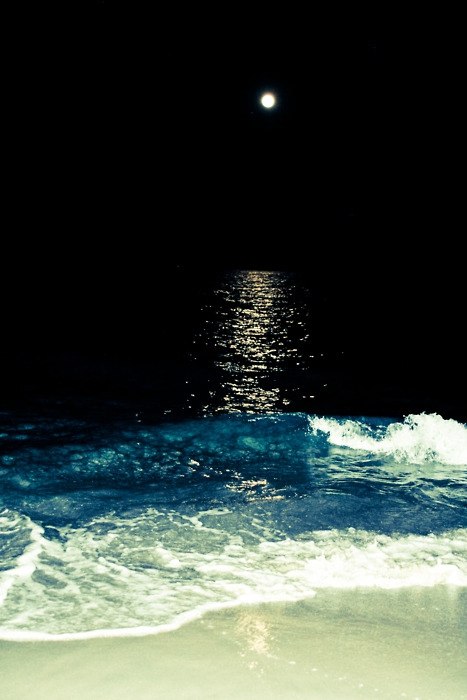 Мария Рокоча | Москва