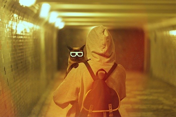 Илья Черных | Коломна