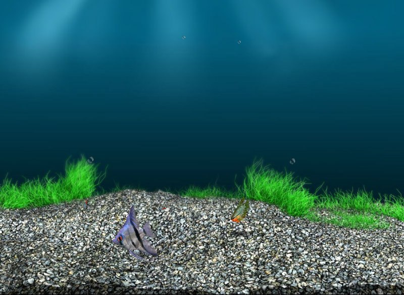 Настя Жукова | Новочебоксарск