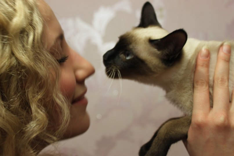 Алина Котышева | Москва