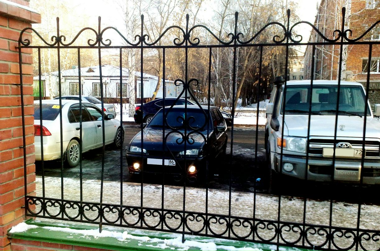 Александр Панчик | Рим