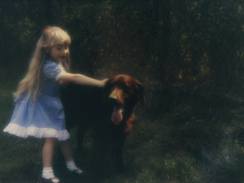 Anja Meush | Львов