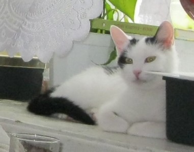 №3, Анюта Кладовикова, 57 лет, Йошкар-Ола №3, Анюта Кладовикова, 57 лет, Йошкар-Ола