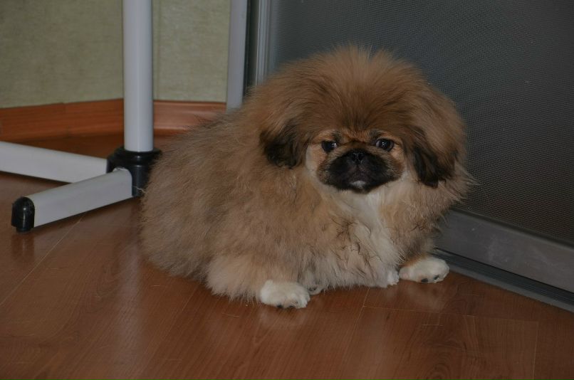 Николай Никонов _Юрич_ | Тюмень