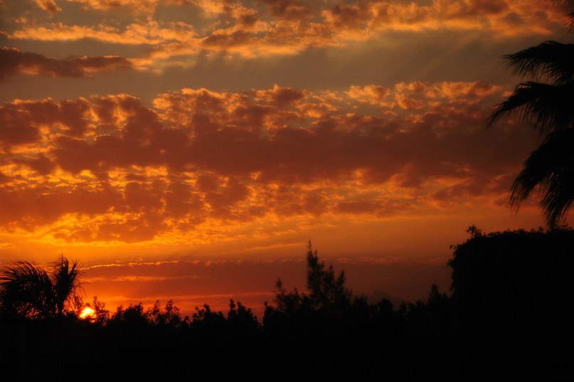 Наталья Денисова | Москва