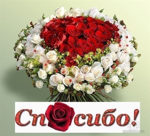 №107, Мария Костючок, Кривой Рог №107, Мария Костючок, Кривой Рог