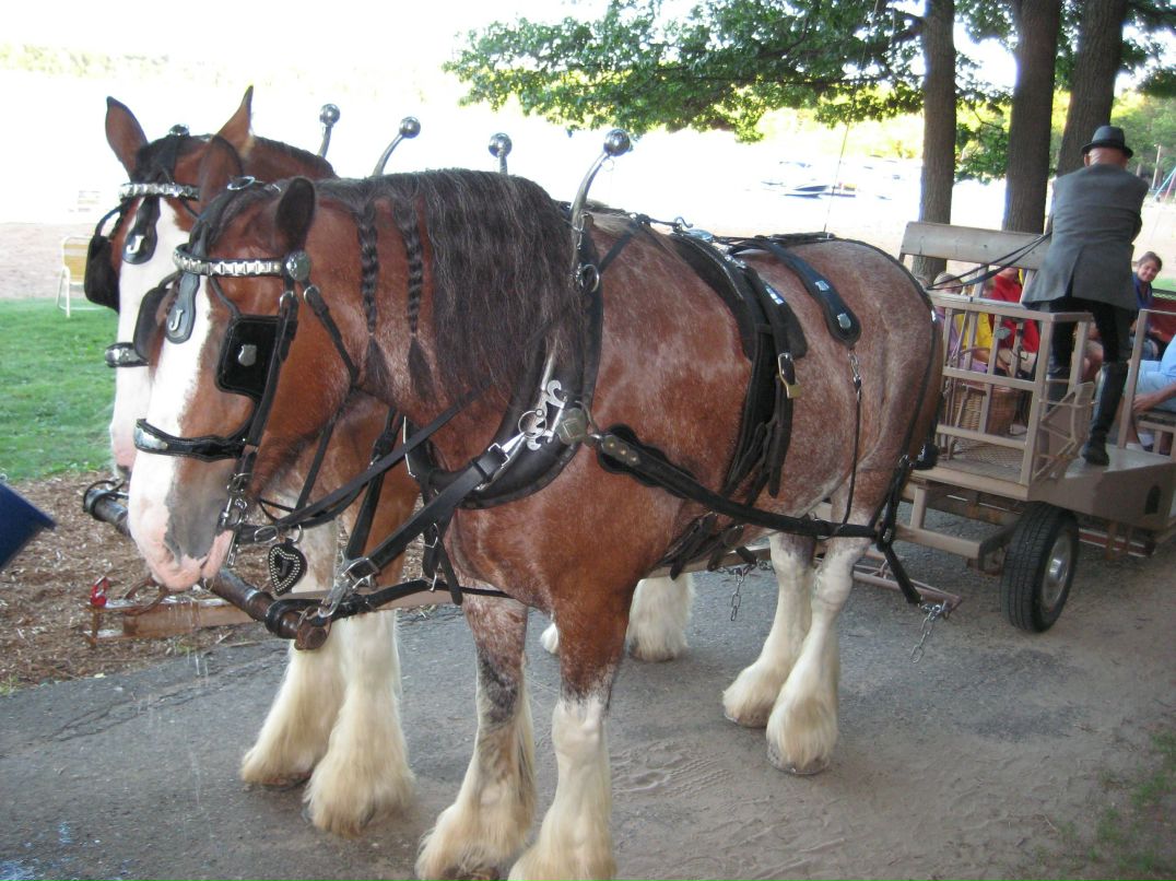 Екатерина Васильева | Волгоград