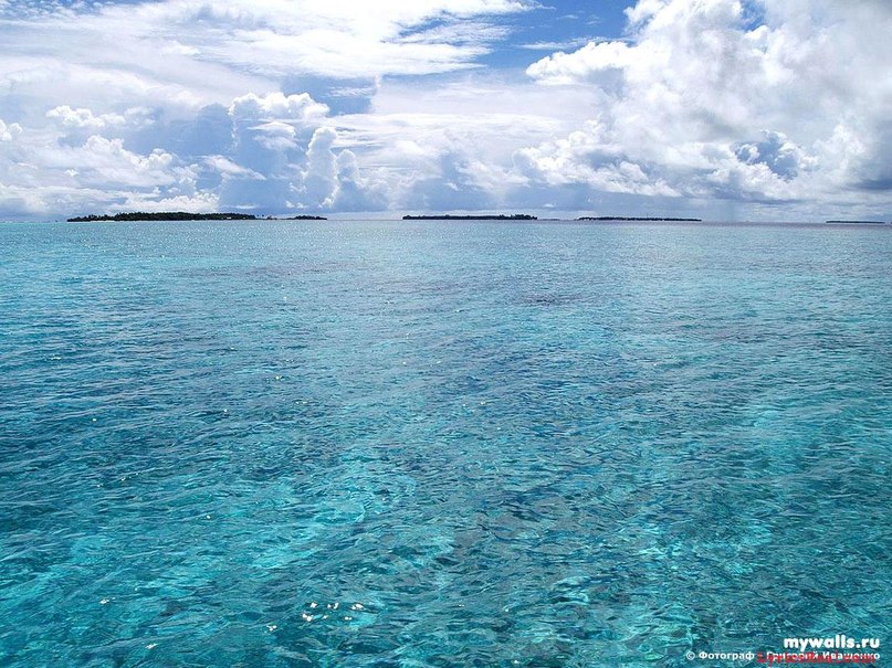 Дмитрий Анатольевич ЛЕВ | Новосибирск