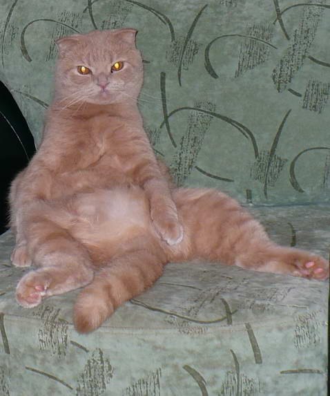 Роман Кац | Балашиха