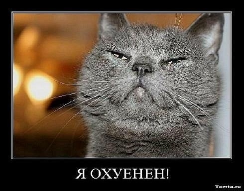 Андрей Андрэйсен | Могилёв