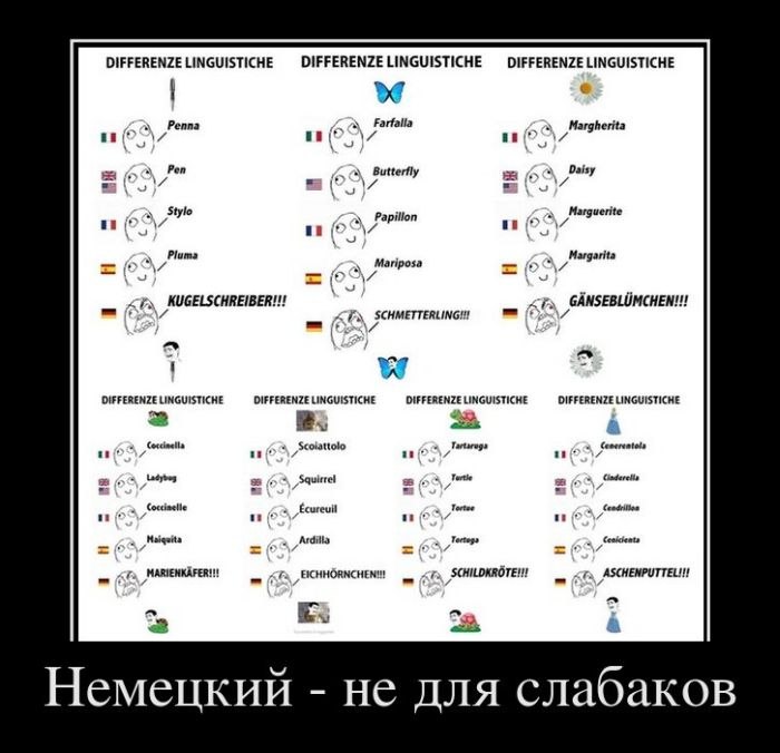 Александр Гавренко COBECTb | Москва