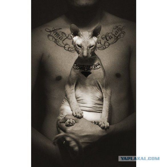 №198, Богдан Левченко, Днепр (Днепропетровск) №198, Богдан Левченко, Днепр (Днепропетровск)