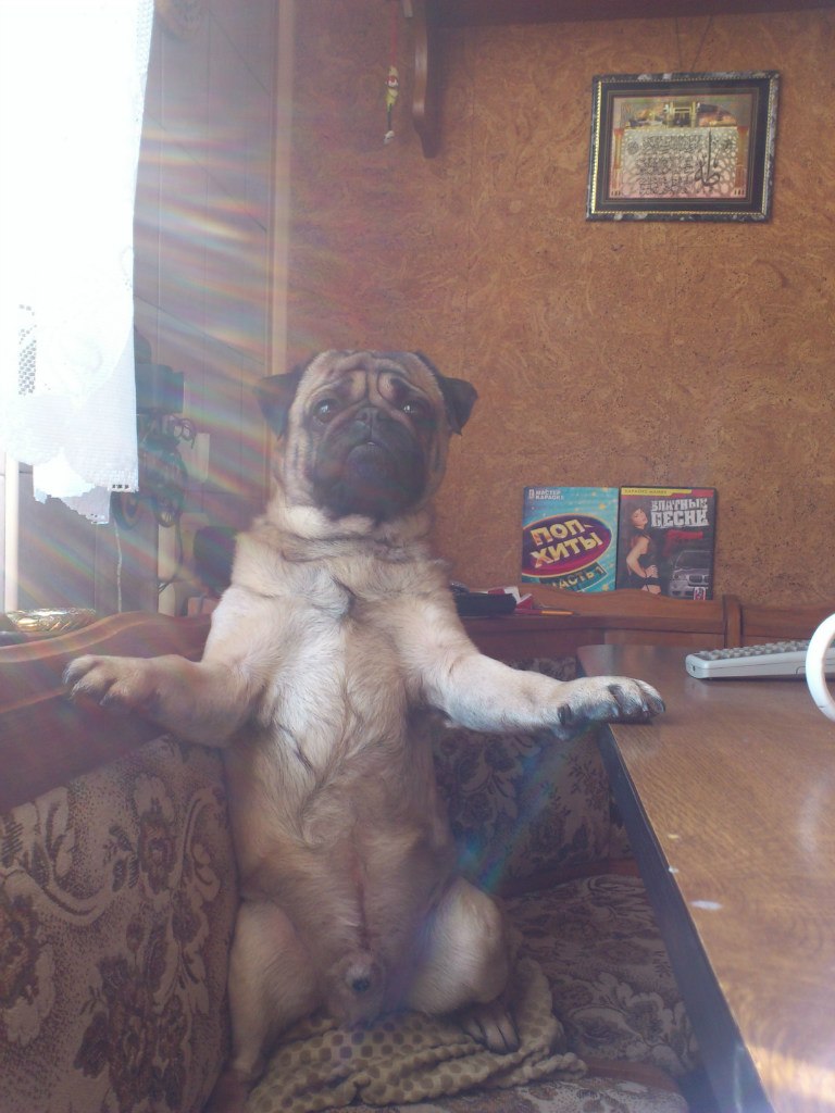 Руслан Вервейко | Boston