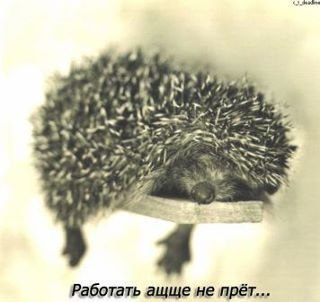 №23, Irena Jokste, Рига №23, Irena Jokste, Рига