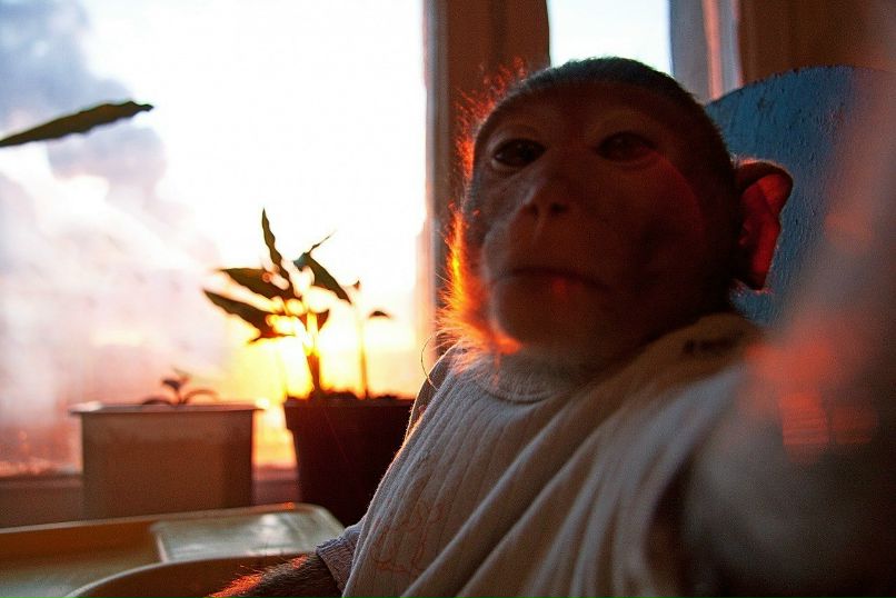 Руслан Лапин | 