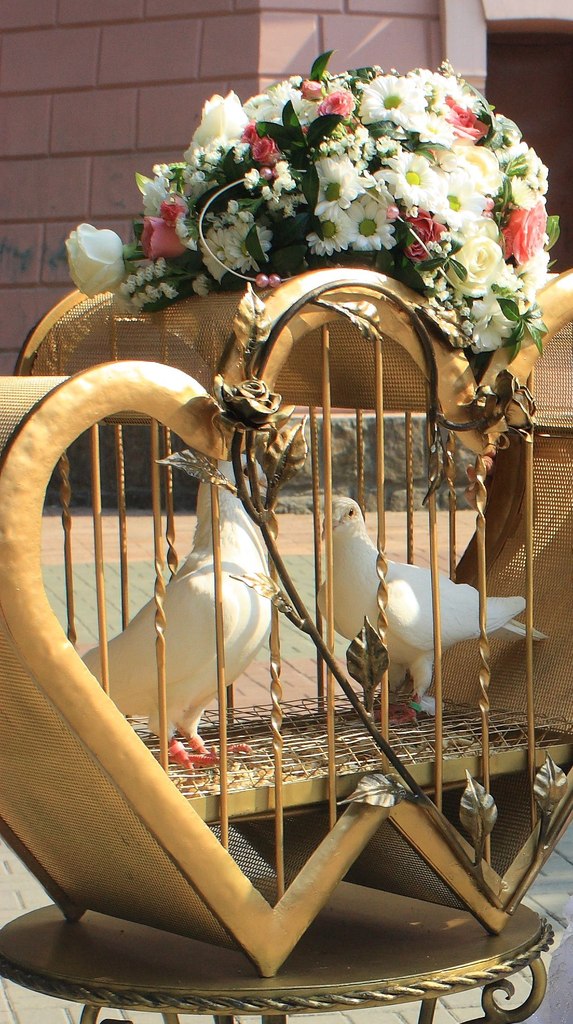 Инна Бобык | Винница