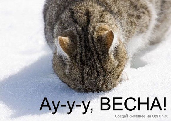 №14, Данила Жуков №14, Данила Жуков