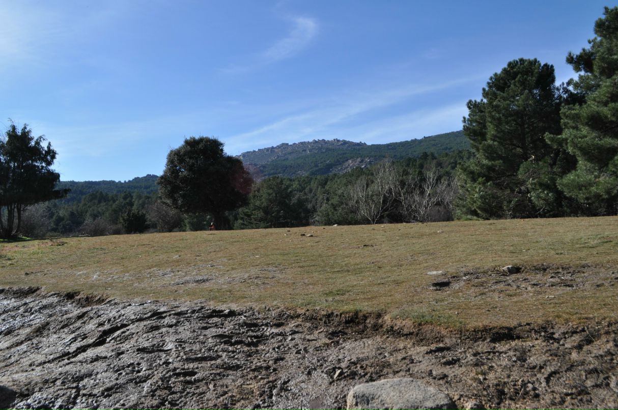 Вадим Сухов | Москва