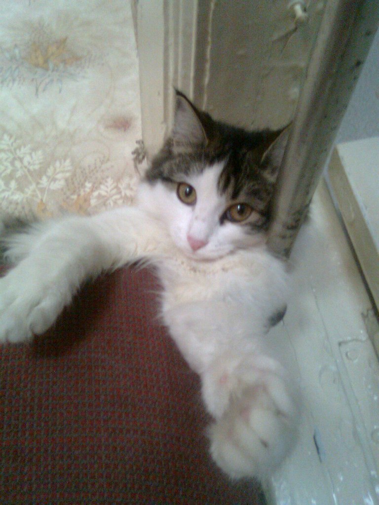 Наталья Коробова Евгеньевна | Красноярск