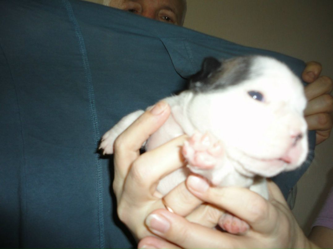 Александр Цап | Харьков