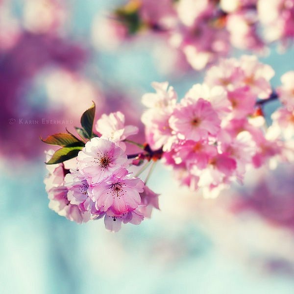 №15, Марина Калашникова, 41 год №15, Марина Калашникова, 41 год