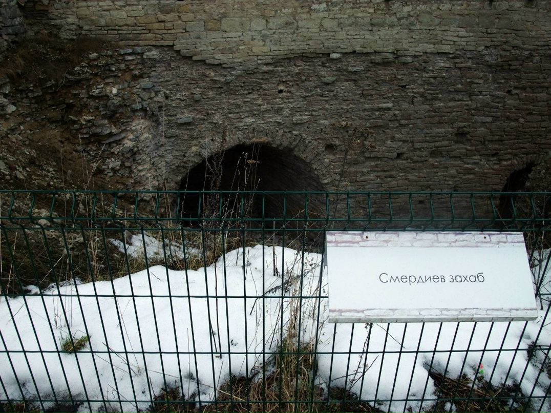 Ольга Чигина | Нижний Новгород