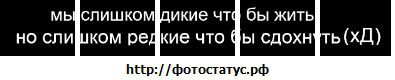 Фотография Антон Crazy