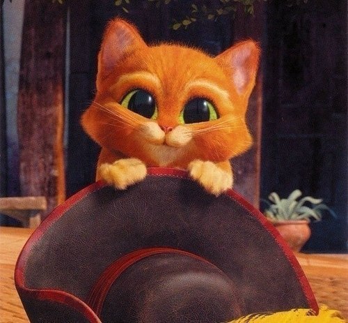 №30, Стас Кухарук №30, Стас Кухарук