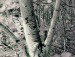 Мила Бобровник фотография #28 (источник - https://vk.com/id137771194)