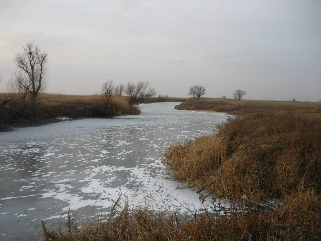 Денис Кравчик Петрович | Санкт-Петербург