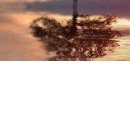 №107, Елена Щербакова, 37 лет, Харьков №107, Елена Щербакова, 37 лет, Харьков