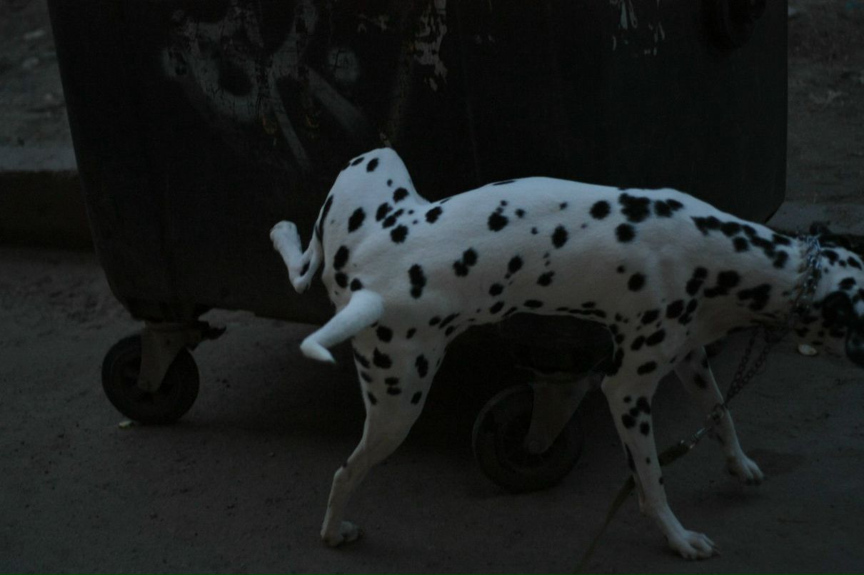 Славик Аджигитов | Москва