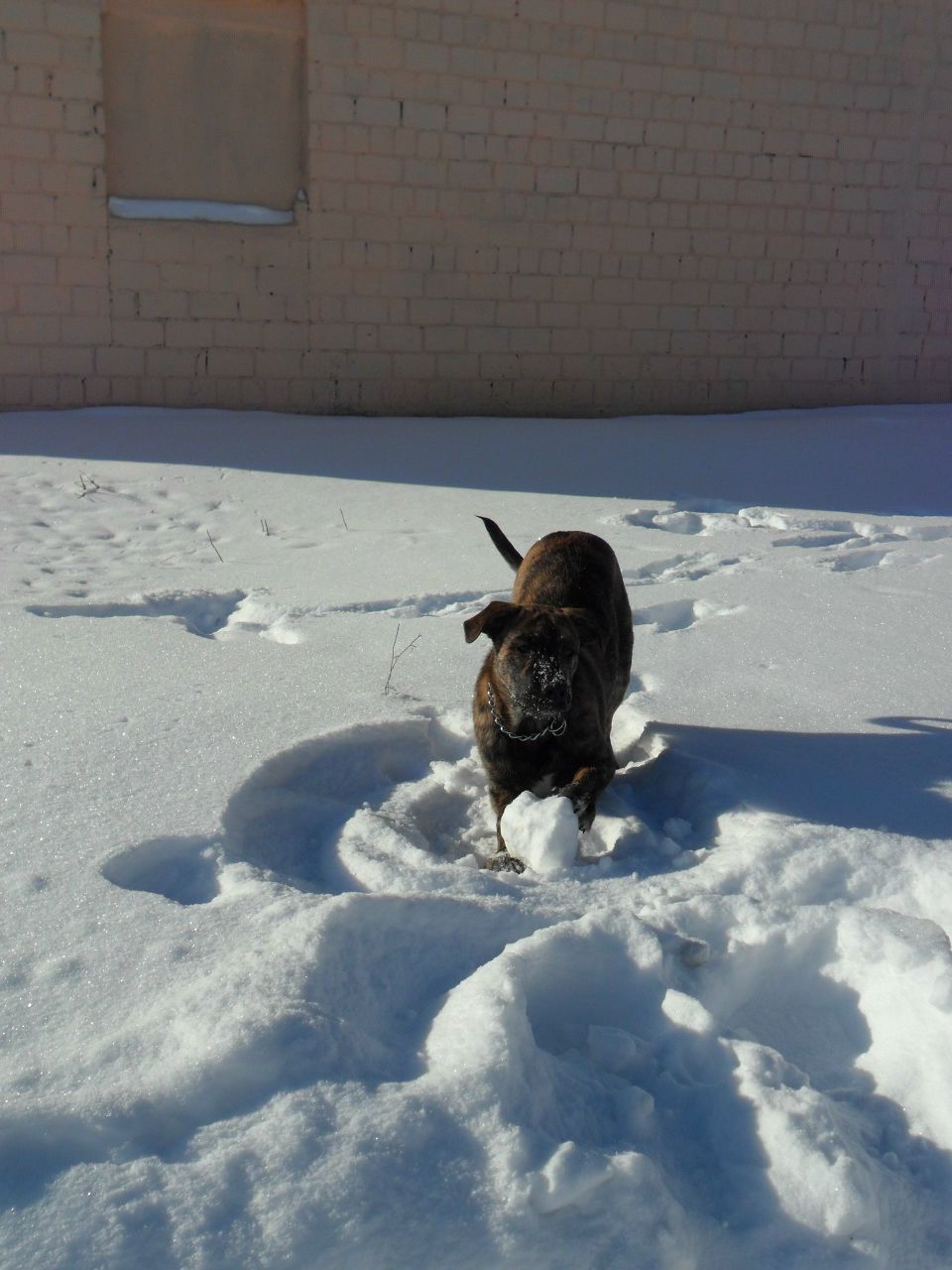 Александр Колодей 웃♥유 | Жлобин