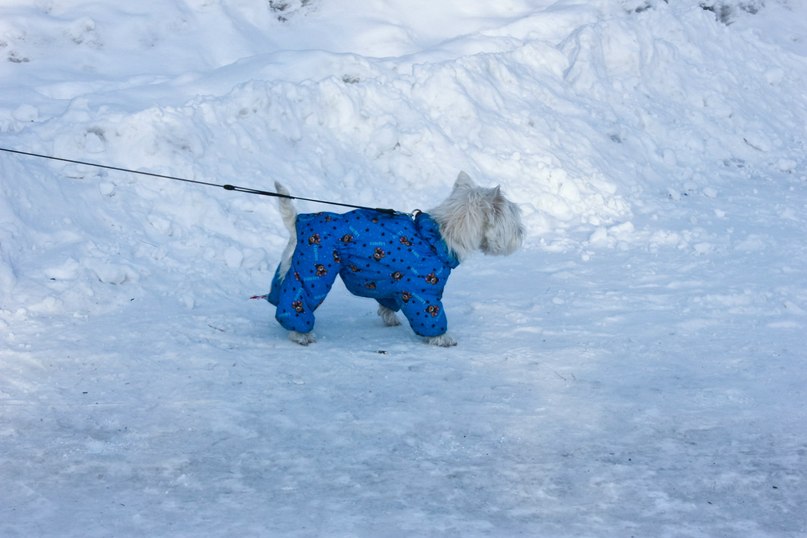 Кирилл Мамыч SOUND-MASTER | Магнитогорск