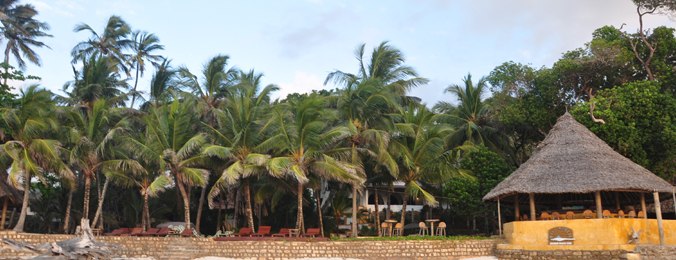 Blue Marlin | Diani Location