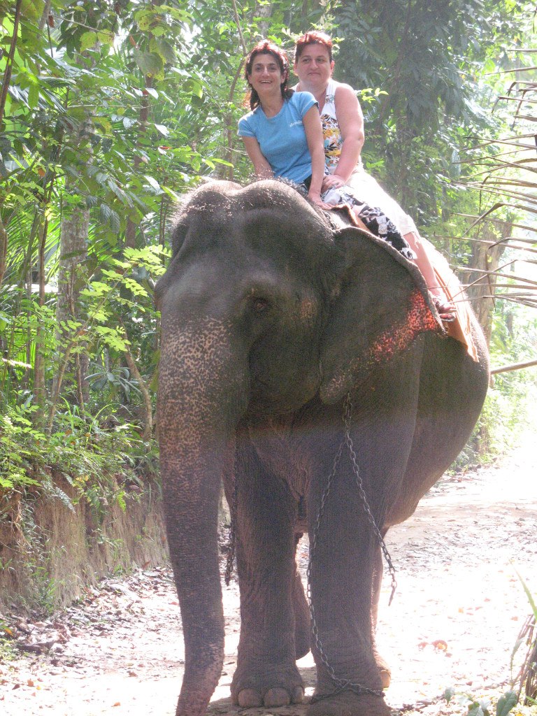 Жанна Буц | Киев