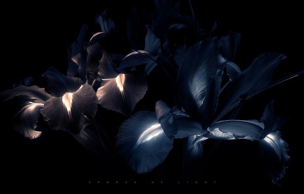 Ирина Омельченко | 